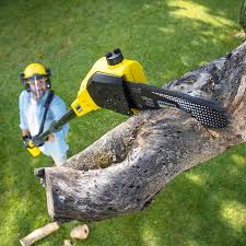 Best Weed Control  in Smyrna, TN